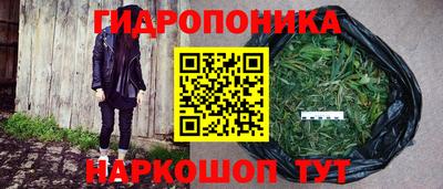 крисы Заводоуковск