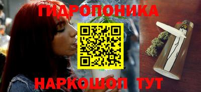 крисы Заводоуковск
