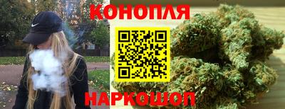 крисы Заводоуковск