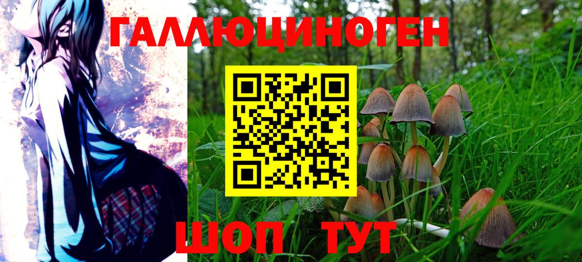 Лабытнанги  Галлюциногенные грибы MAGIC MUSHROOMS  Вход с VPN  Псилоцибиновые грибы прущие грибы 